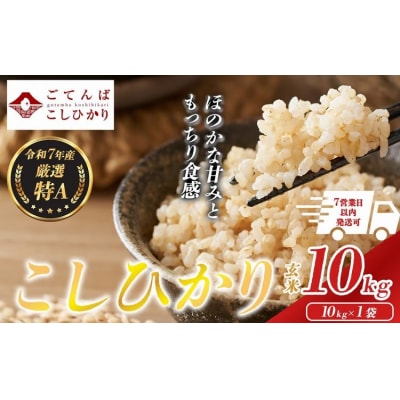 令和7年産 コシヒカリ 【 玄米 】 10kg
