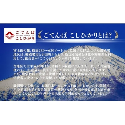 令和7年産 コシヒカリ 【 玄米 】 10kg
