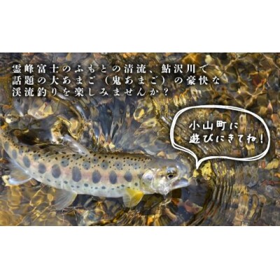 鮎沢川あまご釣り「年券」 高校生　※着日指定不可 