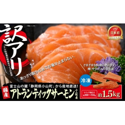 【訳アリ】小山町産 アトランティックサーモン 約1.5kg(柵)魚体2.0kg未満