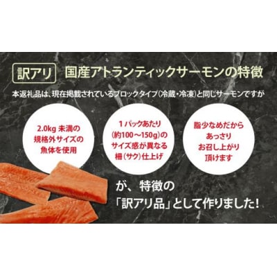 【訳アリ】小山町産 アトランティックサーモン 約1.5kg(柵)魚体2.0kg未満
