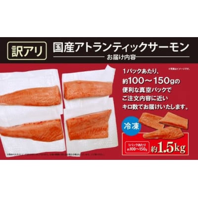 【訳アリ】小山町産 アトランティックサーモン 約1.5kg(柵)魚体2.0kg未満