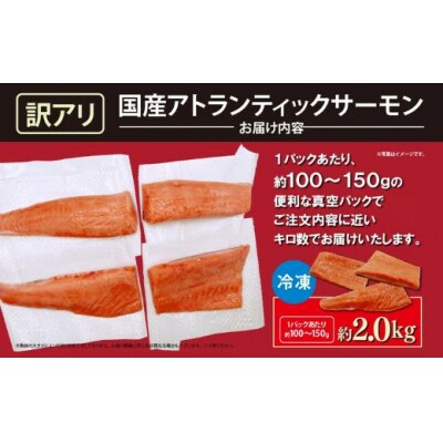 【訳アリ】小山町産 アトランティックサーモン 約2kg(柵)魚体2.0kg未満