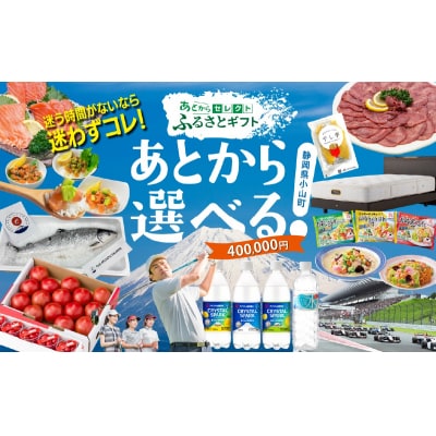 あとからセレクト 【 ふるさとギフト 】 400,000円分