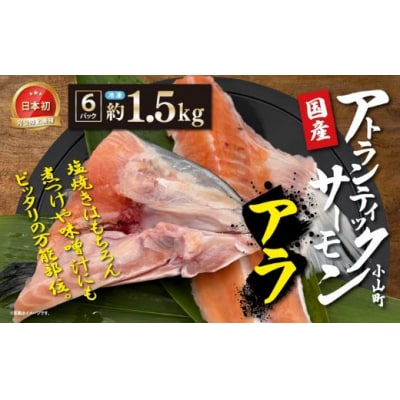 日本初 完全陸上養殖 静岡県小山町産 アトランティックサーモン 冷凍 アラ6パック 約1.5kg