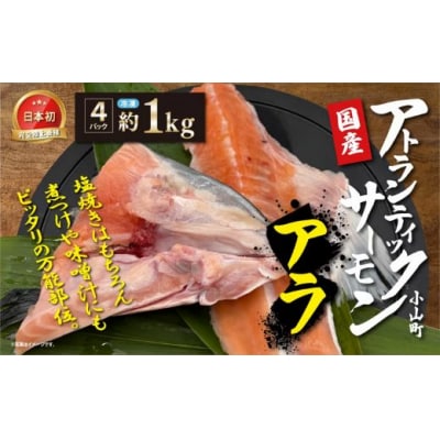 日本初 完全陸上養殖 静岡県小山町産 アトランティックサーモン 冷凍 アラ4パック 約1kg