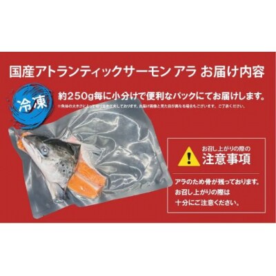 日本初 完全陸上養殖 静岡県小山町産 アトランティックサーモン 冷凍 アラ4パック 約1kg