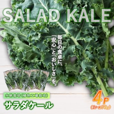 【無農薬】水耕栽培(植物工場栽培)サラダケール 300g(約75g×4P)