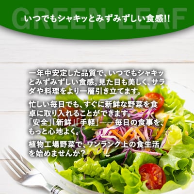 【無農薬】水耕栽培(植物工場栽培)サラダケール 300g(約75g×4P)