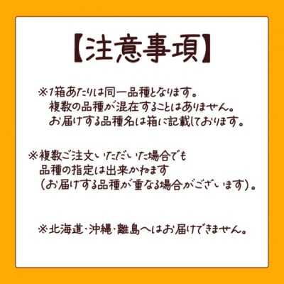 【先行予約】朝採りとうもろこし 10kg お楽しみボックス