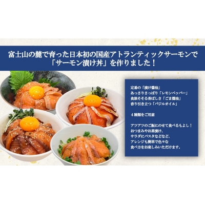 小山町産アトランティックサーモン 漬け丼食べ比べセット(4種×各1P)