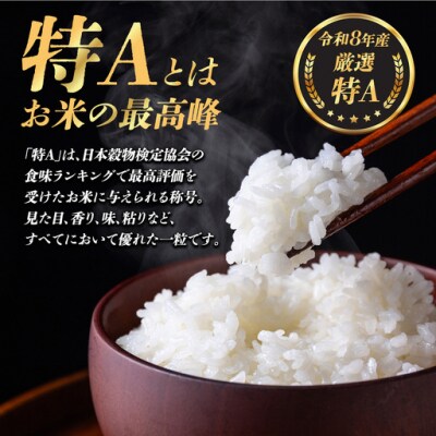 【令和8年産】米 コシヒカリ 5kg 精米 静岡県産 特A 厳選【12月発送】
