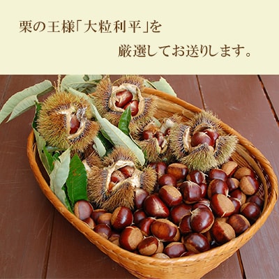 日本有数の栗の里山江村のやまえ栗生栗　5kg
