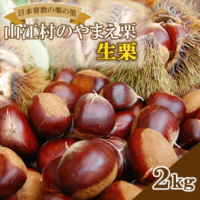 日本有数の栗の里山江村のやまえ栗生栗　2kg