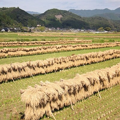 【先行受付 令和元年産米】天日掛け干しほたる米5kg・彩り米250gセット