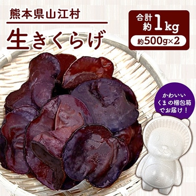 生きくらげ 約1kg