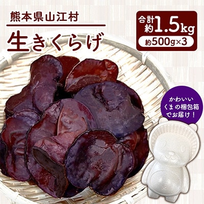 生きくらげ 約1.5kg