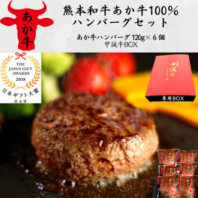 あか牛100%ハンバーグセット(あか牛ハンバーグ120g×6個)専用ボックス入り(山江村)