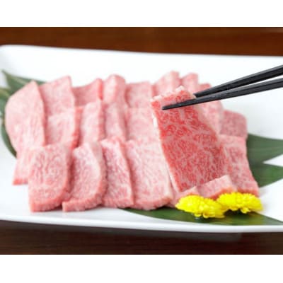 【黒毛和牛】熊本県産　焼き肉用　ロース600g(300g×2パック)(山江村)