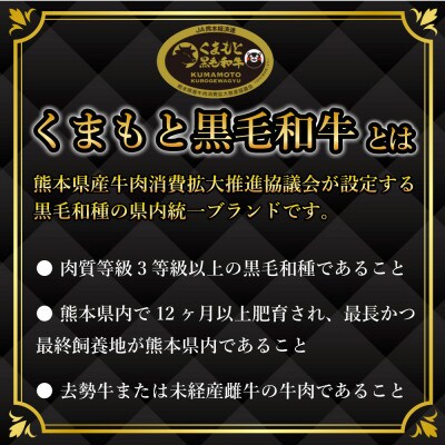 【A4～A5】くまもと黒毛和牛切り落とし　500g(山江村)