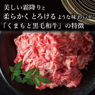 【A4～A5】くまもと黒毛和牛切り落とし　500g(山江村)