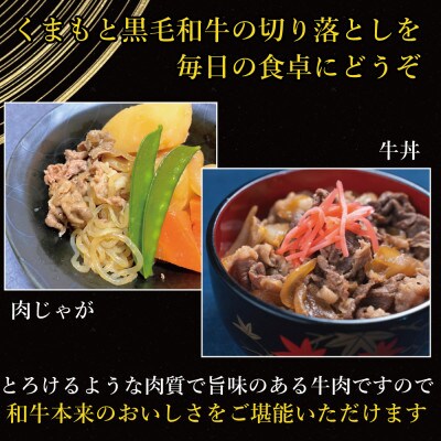 【A4～A5】くまもと黒毛和牛切り落とし　500g(山江村)