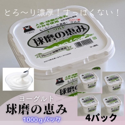 球磨の恵ヨーグルト(無糖)4kgセット(山江村)