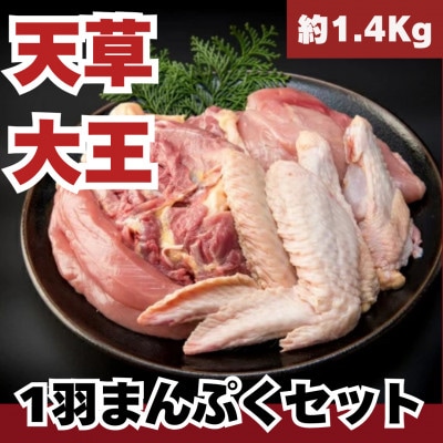 天草大王1羽セット(冷凍・雌)(山江村)