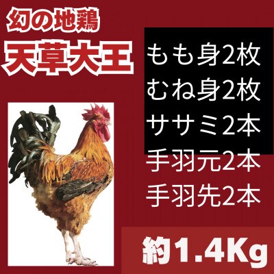 天草大王1羽セット(冷凍・雌)(山江村)