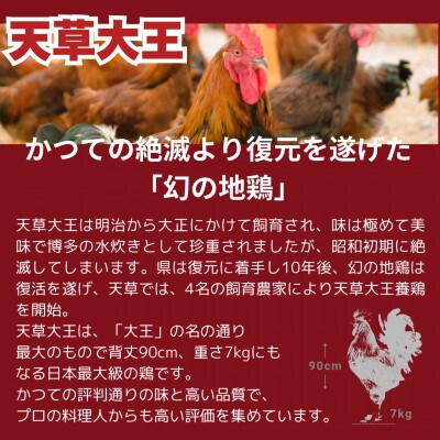 天草大王1羽セット(冷凍・雌)(山江村)