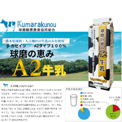 球磨の恵みA2牛乳　1000ml4本(山江村)