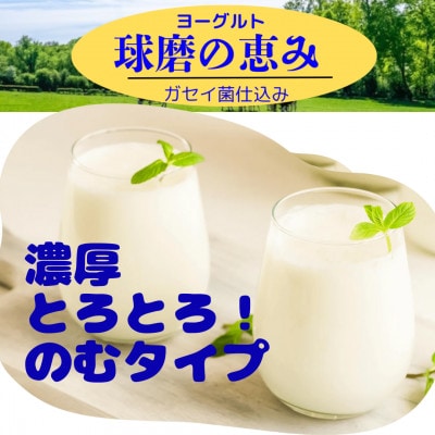生乳100%にこだわった濃厚タイプ、球磨の恵みのむヨーグルト(無糖150g×10)(山江村)