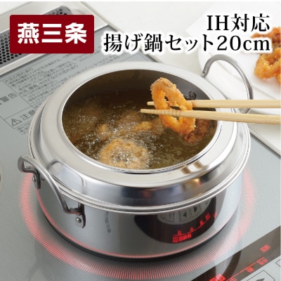 IH対応 揚げ鍋セット(天ぷら鍋セット)20cm フライヤー オイルポット 揚げ物【015P057】