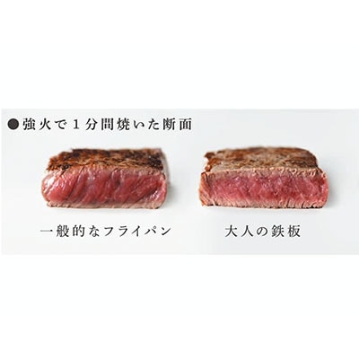 [大人の鉄板] 4.5mmの厚みが肉の旨みを引き出す フライパン26cm 蓋付き【025P014】