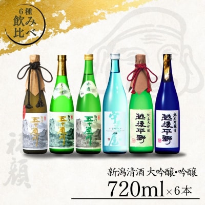 日本酒飲み比べ6本セット (日本酒) [福顔酒造]【057P001】