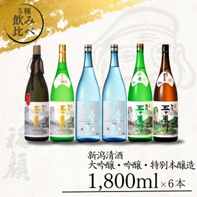 大吟醸・吟醸・特別本醸造飲み比べセット(1,800ml×6本) [福顔酒造]【096P002】