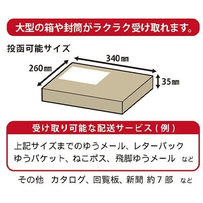 大型郵便ポスト&ガーデンポストスタンド マットブラック 郵便受け[グリーンライフ]【034P004】