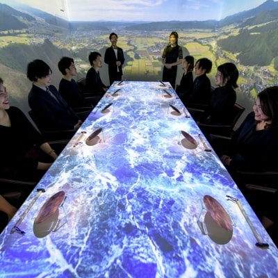 Tsubamesanjo Bit 燕三条本店 プロジェクションマッピングコース1名様 