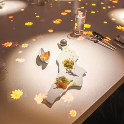 Tsubamesanjo Bit 燕三条本店 プロジェクションマッピングコース1名様 