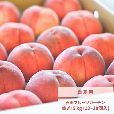 2026年8月中下旬 桃 自家用 約5kg (11～18個入)  石田フルーツ 【011P012】