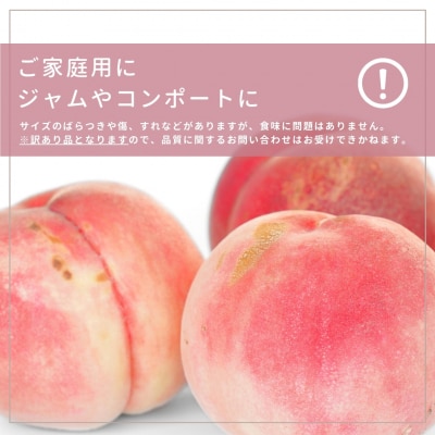 2026年8月中下旬 桃 自家用 約5kg (11～18個入)  石田フルーツ 【011P012】