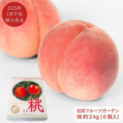 先行受付 桃 2kg [2025年発送分] 新潟県産桃 [石田フルーツガーデン]【011P011】