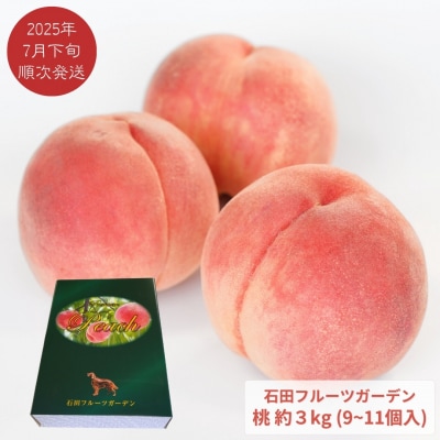先行受付 桃 3kg [2025年発送分] 新潟県産桃 [石田フルーツガーデン] 【015P058】