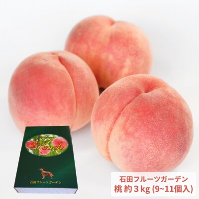 先行受付 桃 3kg [2026年発送分] 新潟県産桃 [石田フルーツガーデン] 【015P058】