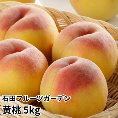 先行受付 黄桃 5kg [2026年発送予定] 黄桃 [石田フルーツガーデン]【017P022】