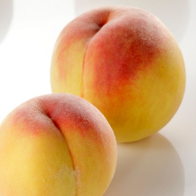 先行受付 黄桃 5kg [2026年発送予定] 黄桃 [石田フルーツガーデン]【017P022】