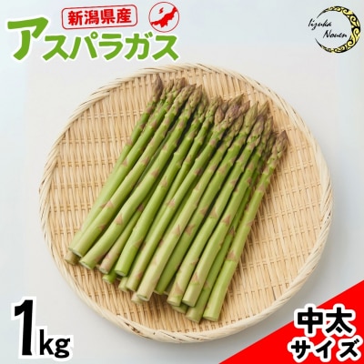 先行受付アスパラガス 太目(LA) 約1kg[2026年5月頃から順次発送予定]【012S004】