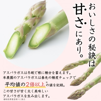 先行受付アスパラガス 太目(LA) 約1kg[2026年5月頃から順次発送予定]【012S004】
