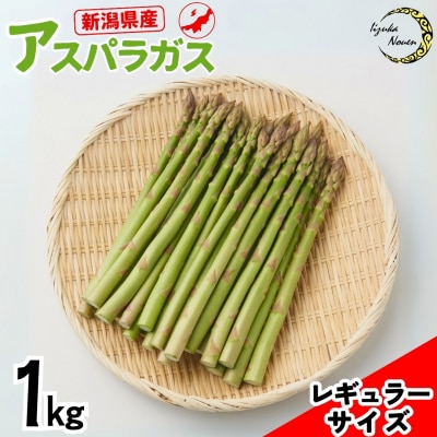 アスパラガス レギュラー 約1kg 【011S019】
