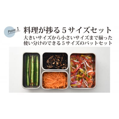 お料理はかどる蓋付き角バット お得なバラエティセット(角バット計12点セット) 【030S004】